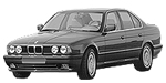 BMW E34 C255D Fault Code