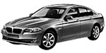 BMW F10 C255D Fault Code